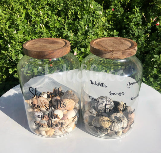 Fossil decorative display jar