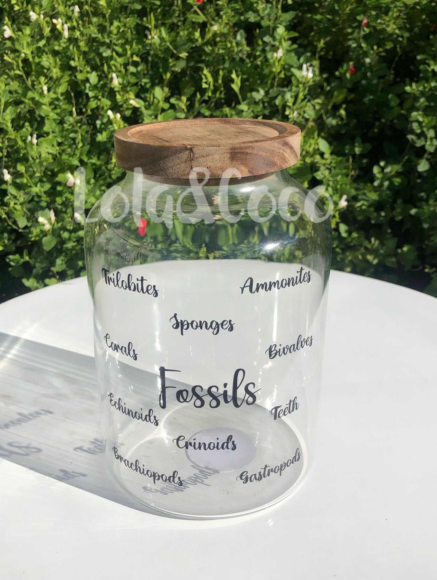 Fossil decorative display jar